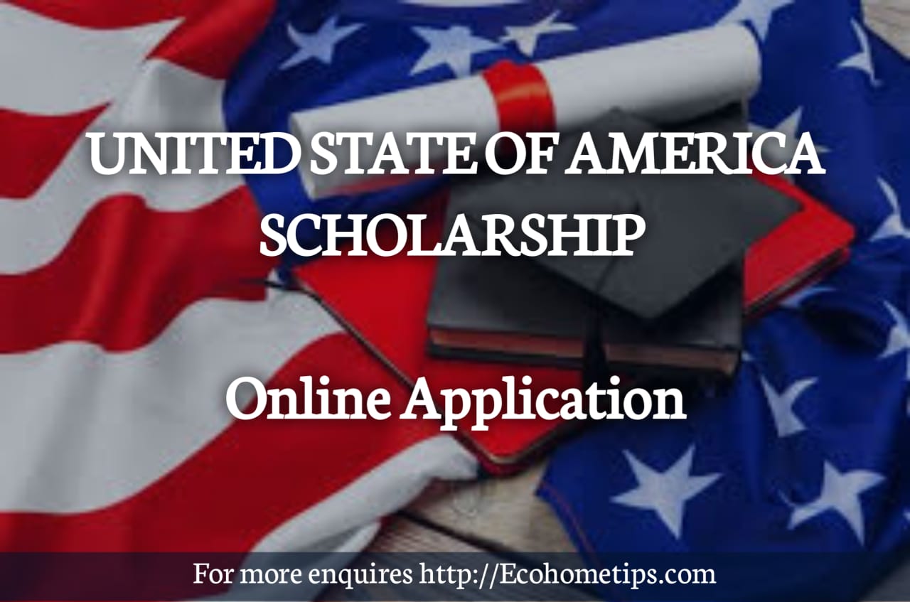 Online scholarship applications in the USA 2024