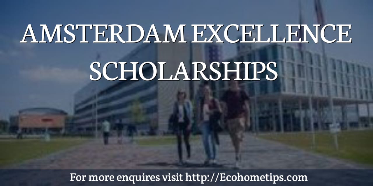Amsterdam Excellence Scholarships