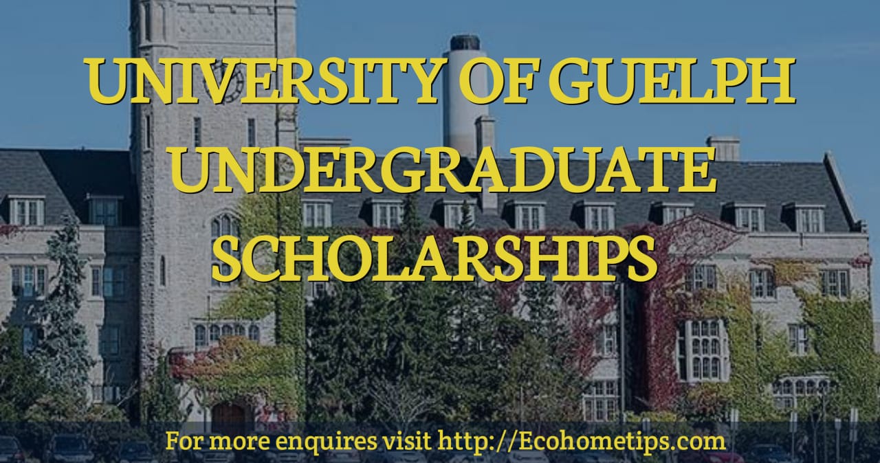 University of Guelph Undergraduate Scholarships