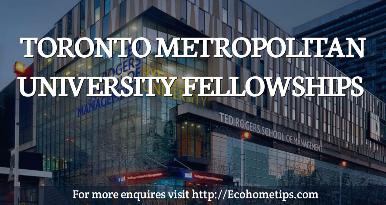 Toronto Metropolitan University Fellowships